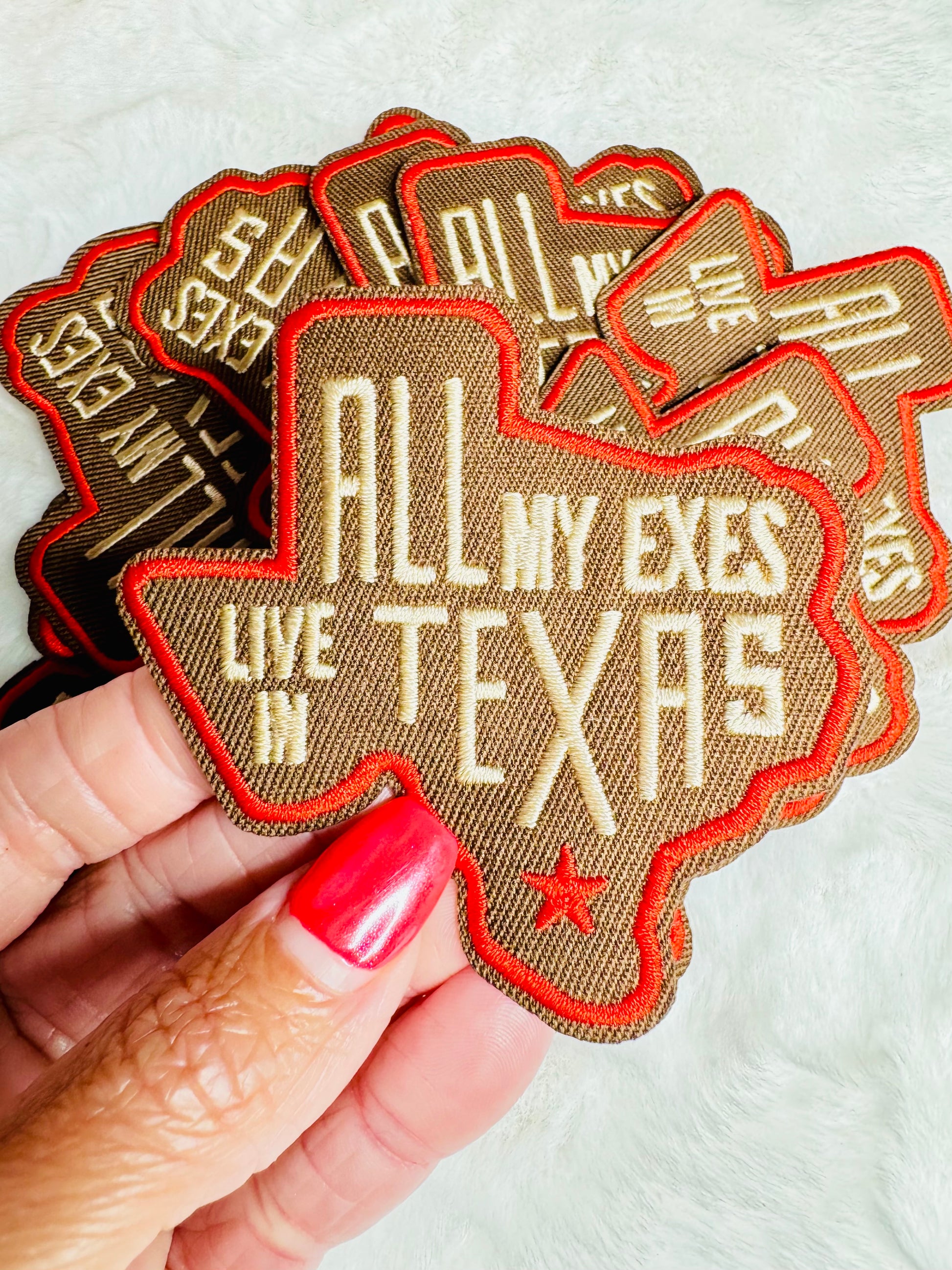 All My Exes Live In Texas Embroidered Patch